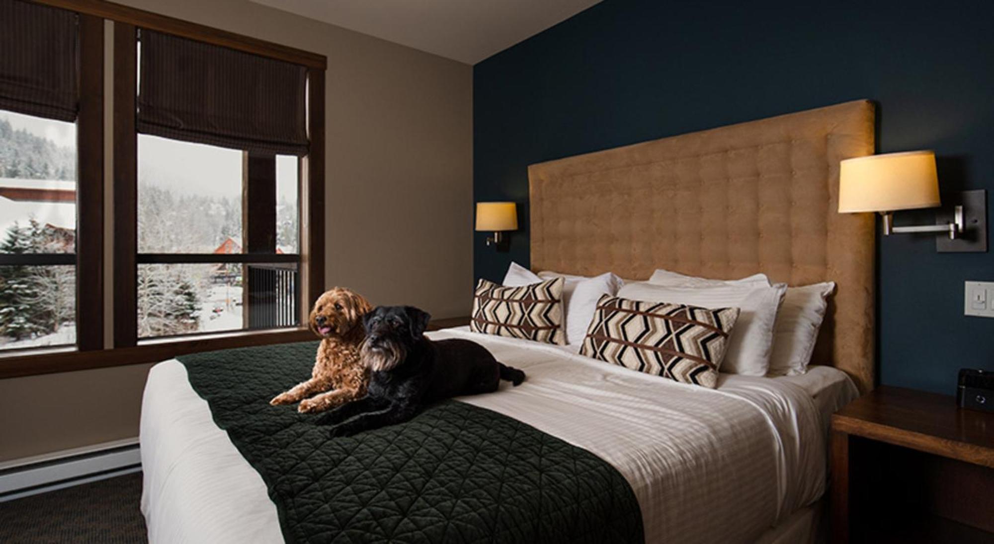 Evolution Whistler Aparthotel Εξωτερικό φωτογραφία
